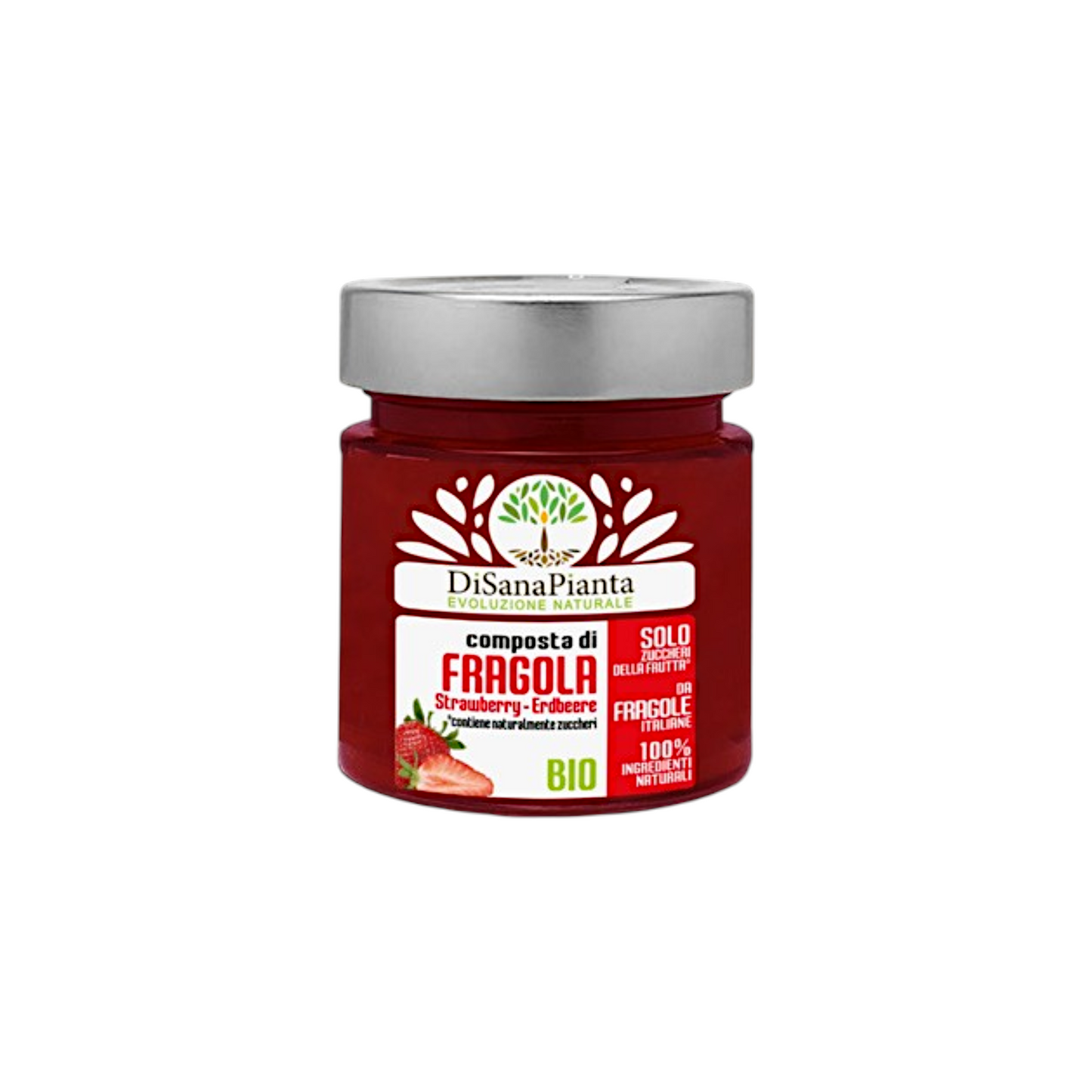 HEALTHY ORGANIC STRAWBERRY COMPOTE