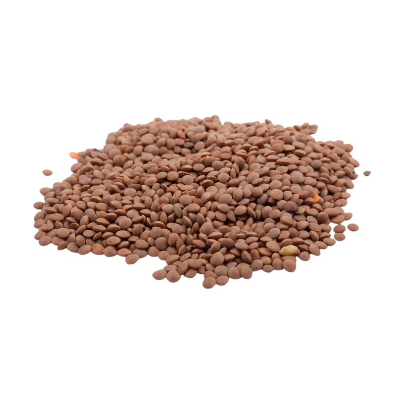 RED LENTILS FROM APULIA LE DELIZIE DEL GRANO ALTAMURA