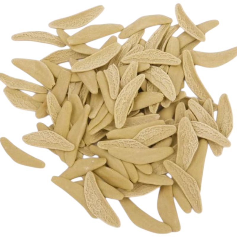 PASTA CASERECCIA GRANO DURO FOGLIE VERDI