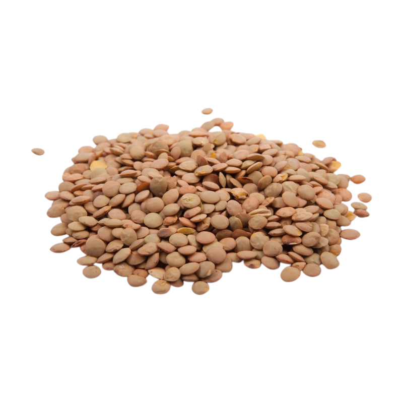 LENTICCHIE GRANDI DI PUGLIA LE DELIZIE DEL GRANO ALTAMURA
