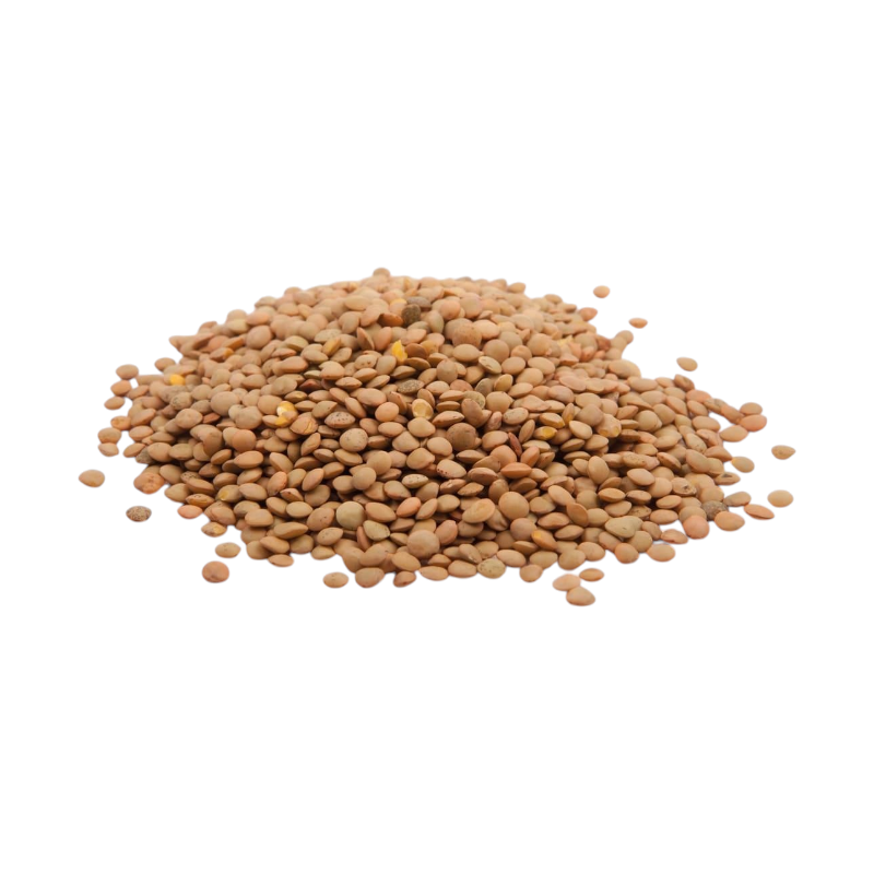 LENTICCHIE PICCOLE DI PUGLIA LE DELIZIE DEL GRANO ALTAMURA