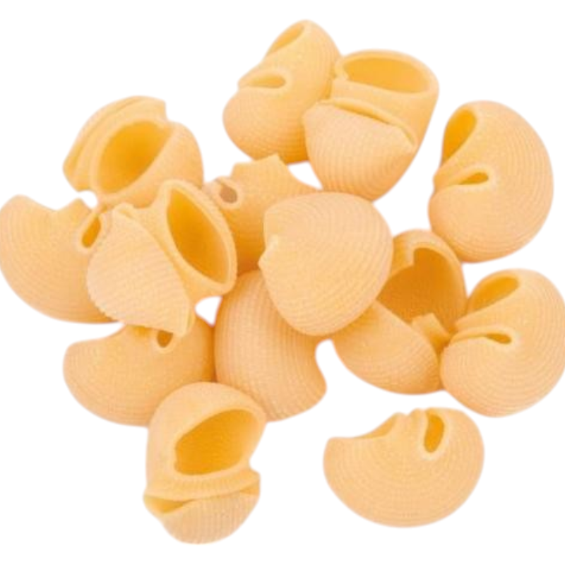 PASTA ARTIGIANALE GRANO DURO CONCHIGLIONI TRAFILATI AL BRONZO